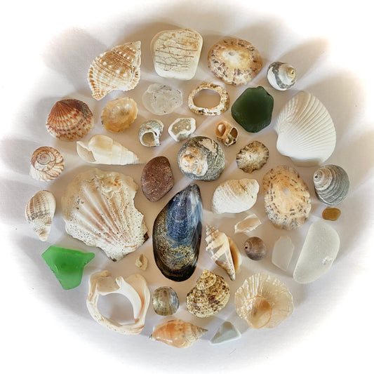 Unique collection of beach finds