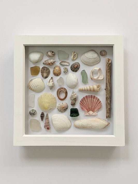 Beautiful beach finds piece